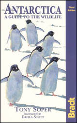 Antarctica. A guide to the wildlife