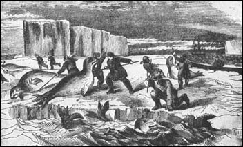 In het begin van de 19de eeuw hadden enkel robbenjagers belangstelling voor Antarctica