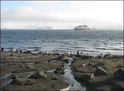 Zicht op de Polar Star vanop Barrientos Island