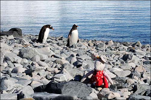 Aliens in Antarctica