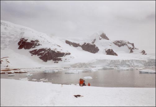 Cuverville Island